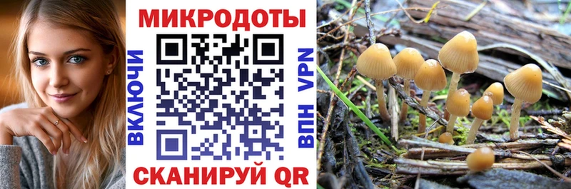 Галлюциногенные грибы GOLDEN TEACHER  Купить закладки  Салехард 