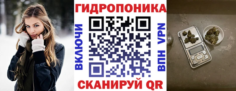 Купить где  Салехард  МАРИХУАНА гибрид 